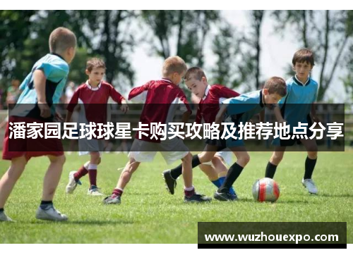 潘家园足球球星卡购买攻略及推荐地点分享