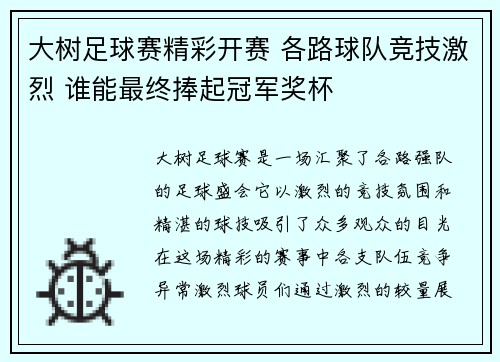 大树足球赛精彩开赛 各路球队竞技激烈 谁能最终捧起冠军奖杯
