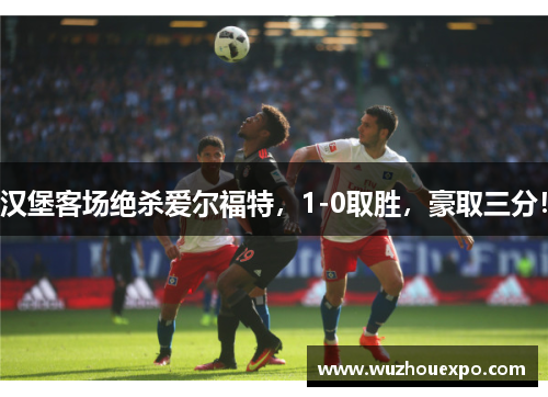 汉堡客场绝杀爱尔福特，1-0取胜，豪取三分！