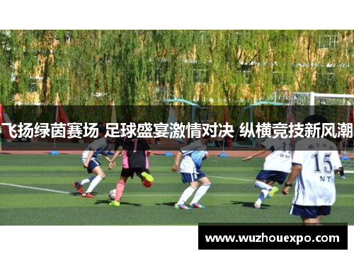 飞扬绿茵赛场 足球盛宴激情对决 纵横竞技新风潮